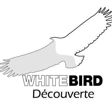 Logo Maxipilot