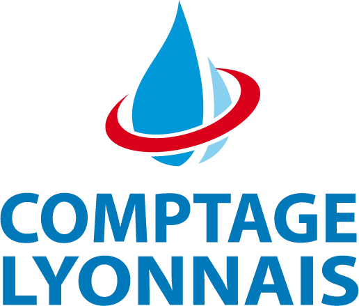Logo Comptage Lyonnais