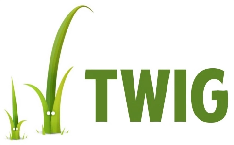 Twig